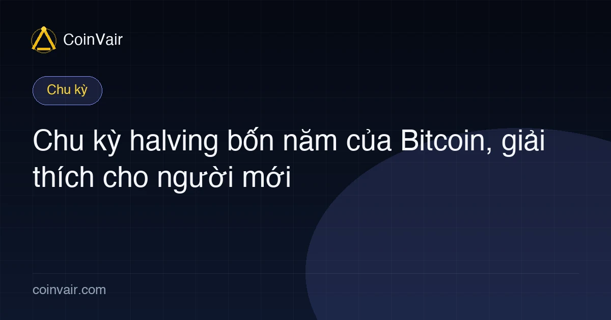 Chu kỳ halving bốn năm của Bitcoin: tăng, đỉnh, giảm, đáy, và chỗ người mới bị băm nát
